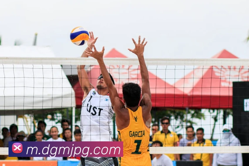 多媒体互动体验